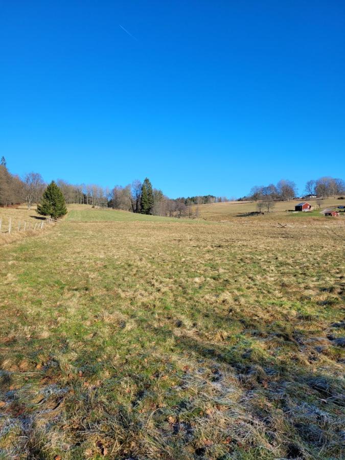 Bokskogens Guesthouse Kulltorp  Bagian luar foto
